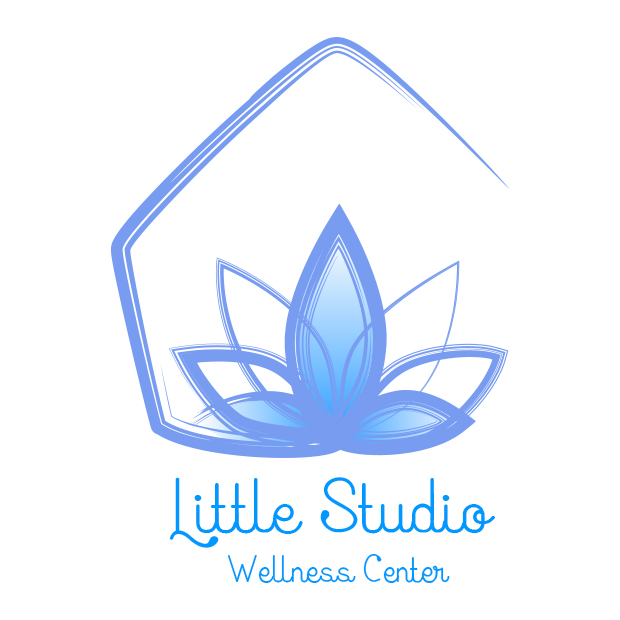 Logo Little Studio Louisiane
